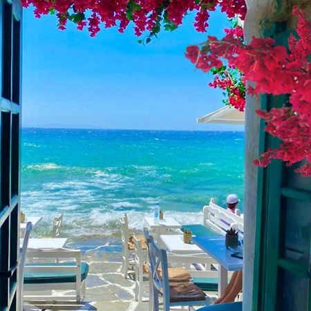 La Bouganville Lido di Ostia Luaran gambar